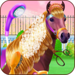 Horse Hair Salon and Mane- Tressage for PC
