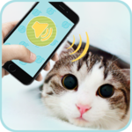 Cat Translator for PC