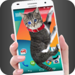 Cat Walks in Phone Cute Phone Joke for PC