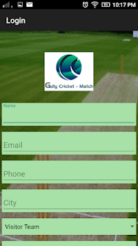 Gully Cricket for PC screenshot 2
