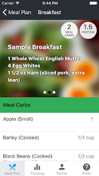 MetPro for PC screenshot 2