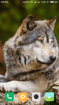 Wolf HD Wallpapers for PC screenshot 3