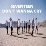 Seventeen Don't Wanna Cry for PC