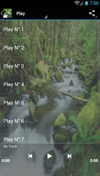 RainForest sounds for PC screenshot 2