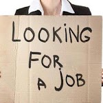 Job Seeker for PC