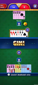 Gin Rummy for PC screenshot 2