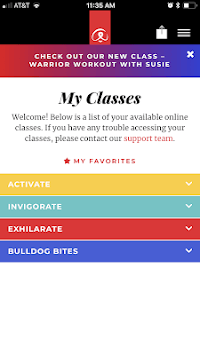 bulldog online for PC screenshot 2