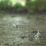 Real Rain Live Wallpaper for PC