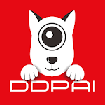 DDPAI for PC