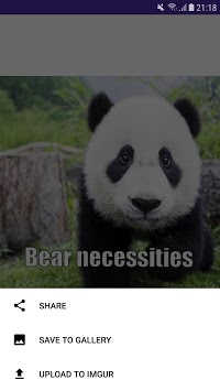 Caption for PC screenshot 3