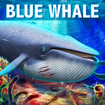 Blue Whale Simulator - Deep Ocean for PC
