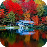 Amazing Nature for PC