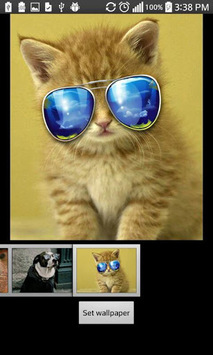 Funny HD Wallpapers for PC screenshot 1