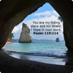 Daily Bible Verse for PC