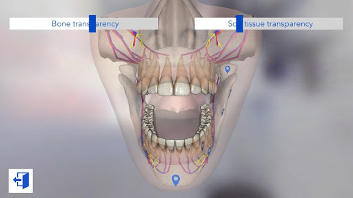 Dental Simulator for PC screenshot 3