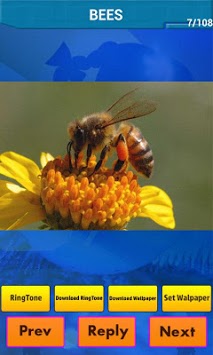 Real Animal Sounds Ringtones for PC screenshot 1