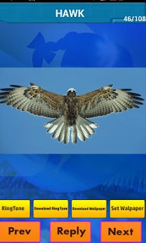 Real Animal Sounds Ringtones for PC screenshot 3