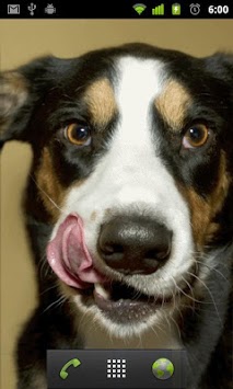 dog licking live wallpaper for PC screenshot 2