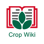 CropWiki EWS for PC