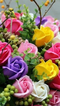 Beautiful flowers and roses pictures Gif for PC screenshot 1