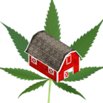 Happy Weed Farm for PC