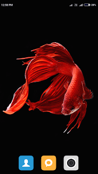 HD Betta Fish Wallpapers for PC screenshot 2