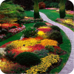 3D Natural garden Wallpaper for PC
