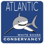 Sharktivity - White Shark App for PC