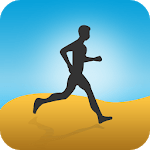 Smart Wristband 2 for PC