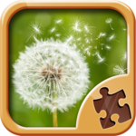 Magic Puzzle Games for PC