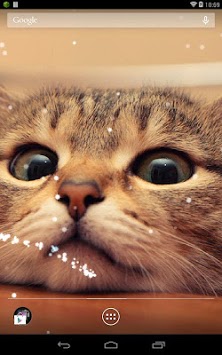 Q Cat Live Wallpaper for PC screenshot 1