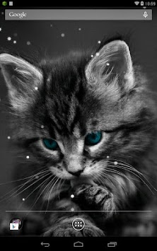 Q Cat Live Wallpaper for PC screenshot 2