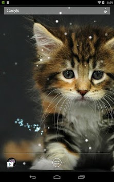 Q Cat Live Wallpaper for PC screenshot 3