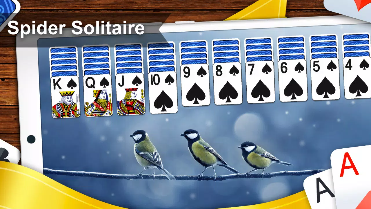 Spider Solitaire for PC screenshot 2