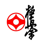 International Karate for PC