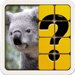 Guess The Picture for PC Guess The Picture for PC