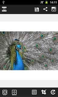 Insta Square Maker  for PC screenshot 2