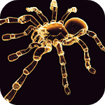 Neon Spider Live Wallpaper for PC