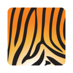 Asset Tiger for PC