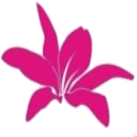 Dago Browser (Web Inspector) for PC