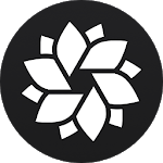 IMG.LY Photo Editor & Camera for PC