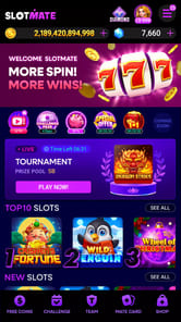 Slot Mate for PC screenshot 2