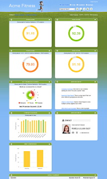 Sassie Dragon Dashboard for PC screenshot 2