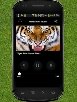 Real Animals Sounds for PC screenshot 1