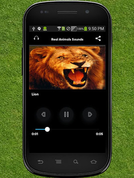 Real Animals Sounds for PC screenshot 2