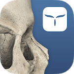 3D Skull Atlas for PC 3D Skull Atlas for PC