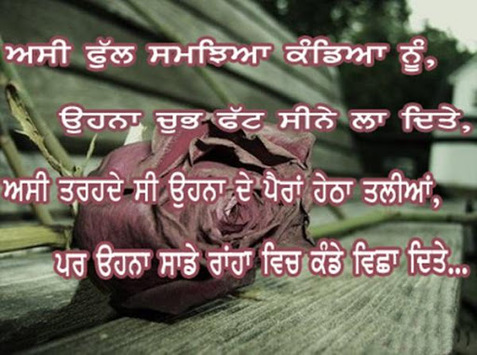 Heart Touching Punjabi Shayari for PC screenshot 3