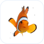 Clown Fish Animated Keyboard + Live Wallpaper for PC