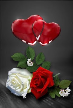 Wonderful Flowers Roses images Gif for PC screenshot 1