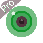 iCSee Pro for PC iCSee Pro for PC